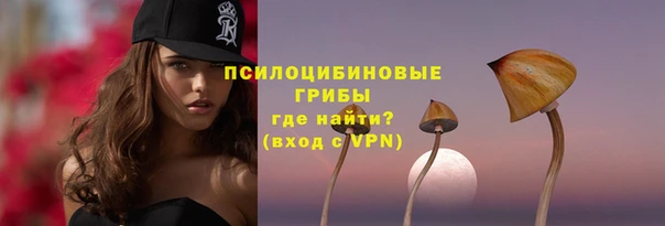 твердый Алексеевка