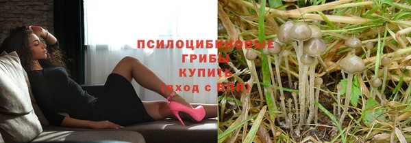 твердый Алексеевка