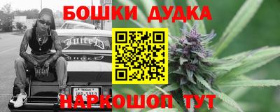 молекула духа Камышлов